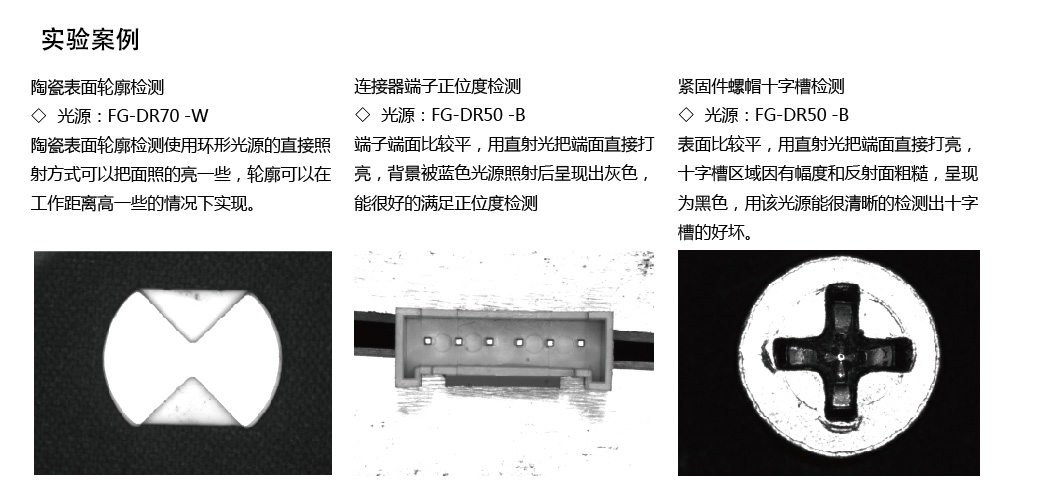 FG-DR100-A00