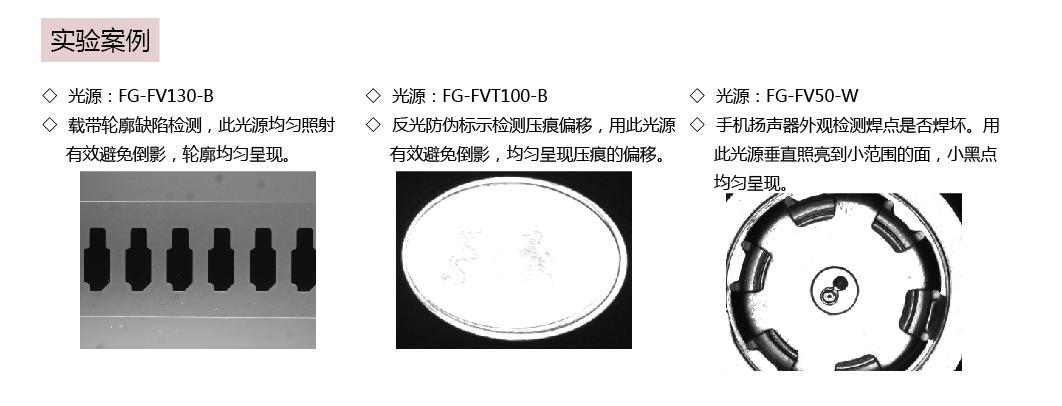 FG-FV80