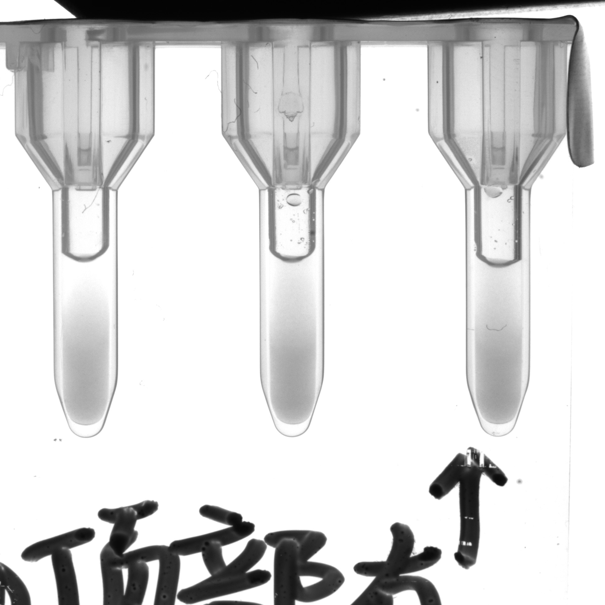 試劑異物檢測
